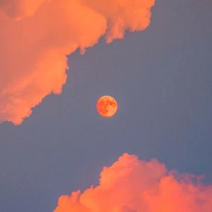 非洲黑人大肥婆大屁股
